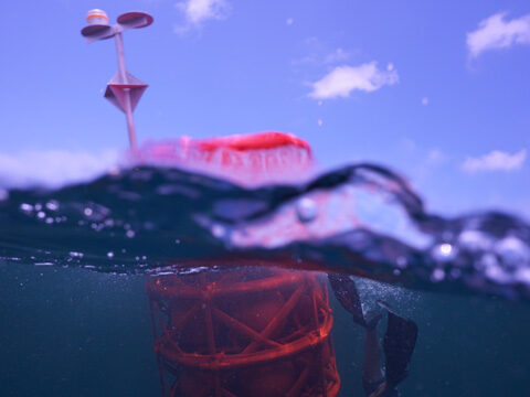 snorkeling