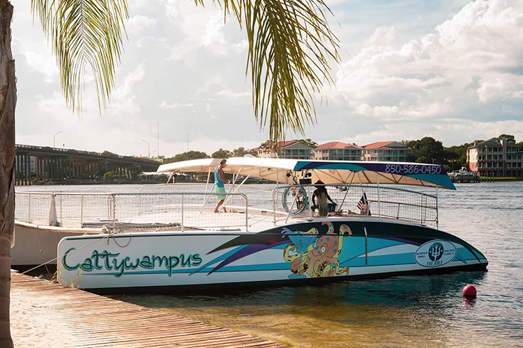 Best Destin Dive Charters: Miss Louise - Shark Quest Dive Shop