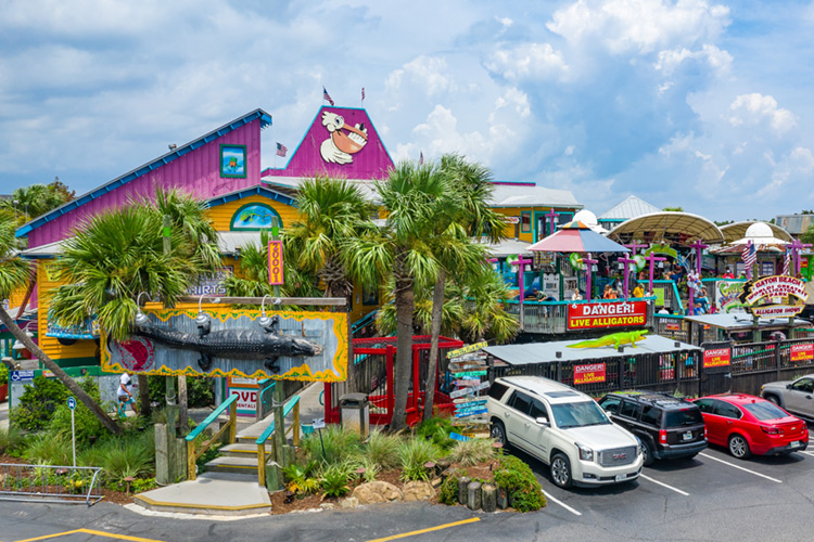 Fudpucker Solo Cups – Fudpucker's Beachside Bar & Grill