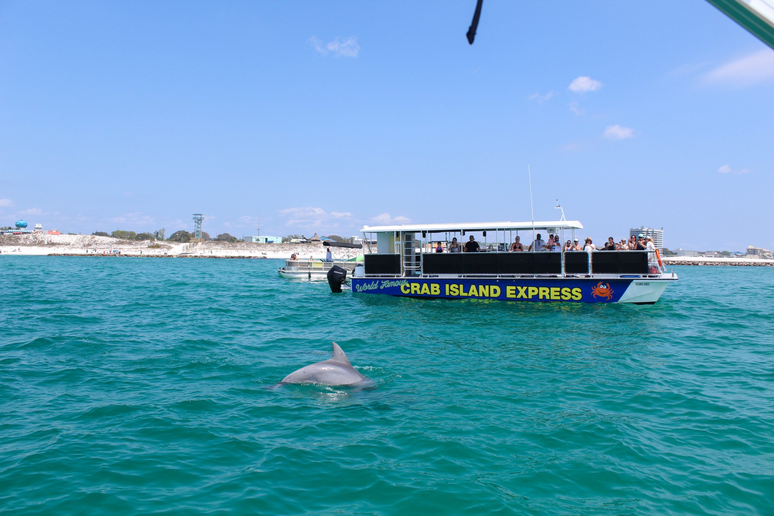 Island Watersports Company | Destin FWB, Florida