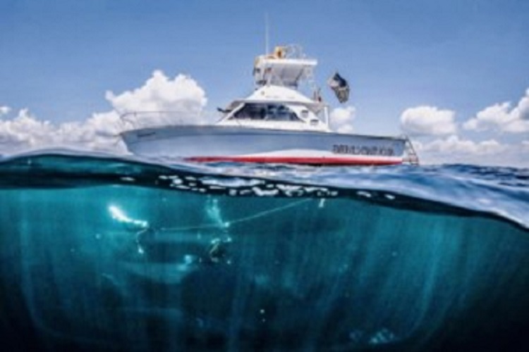 Best Destin Dive Charters: Miss Louise - Shark Quest Dive Shop