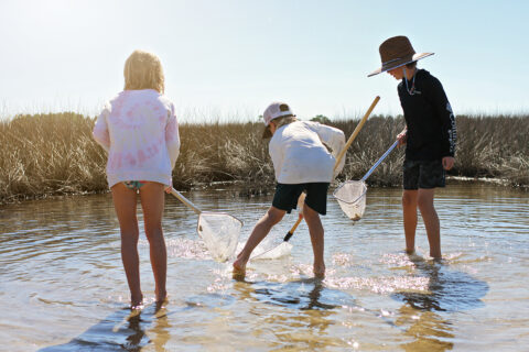 Three kids search for marine life with nets on the shores of Destin-Fort Walton Beach, Florida
