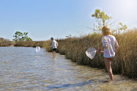 Two kids explore coastal Destin-Fort Walton Beach, Florida with nets looking for marine life in the sea grass. 