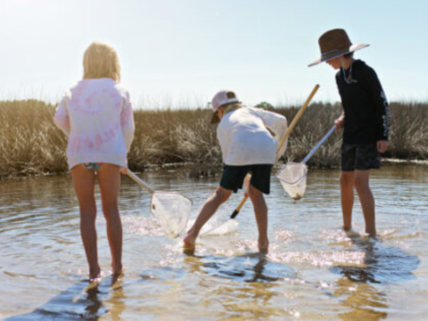 a group of people standing in a body of water.