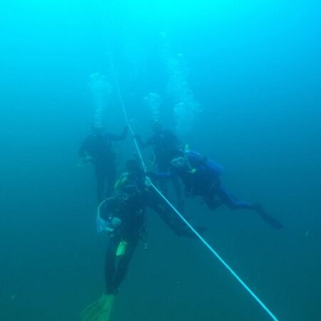 people under water scuba diving