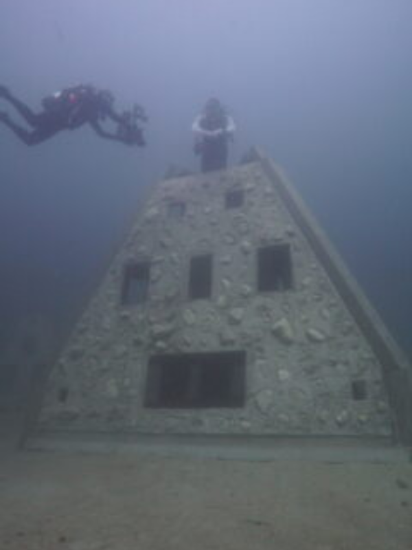 diver swimming next to artificial reef