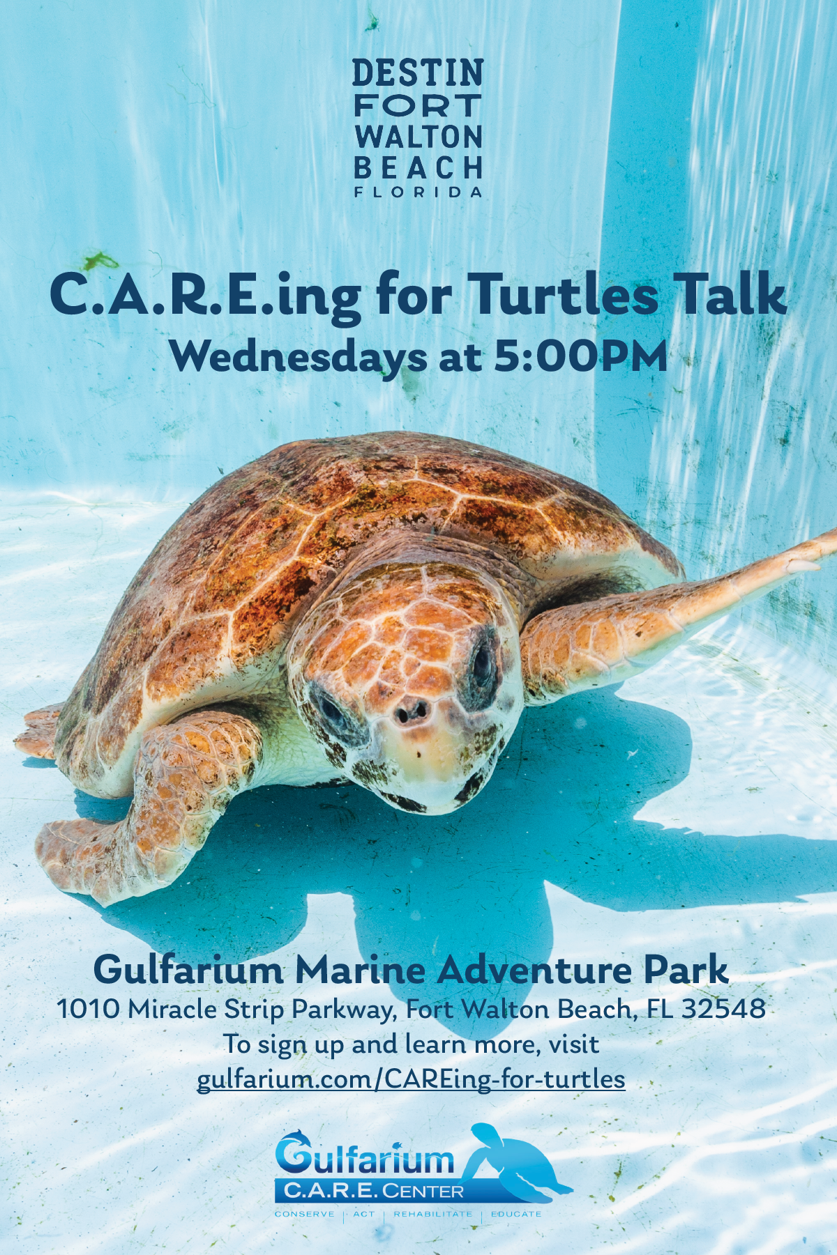 CAREing for Turtles flyer
