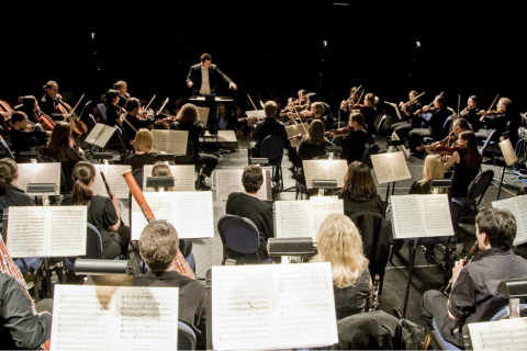 Symphony orchestra with conductor and orchestra.
