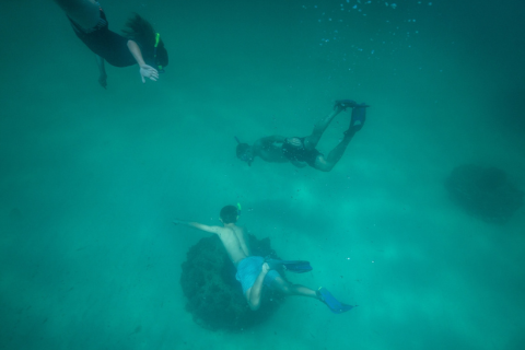 Three people are snorkeling underwater near some rocks. They are wearing fins and snorkels, swimming in clear blue-green water.