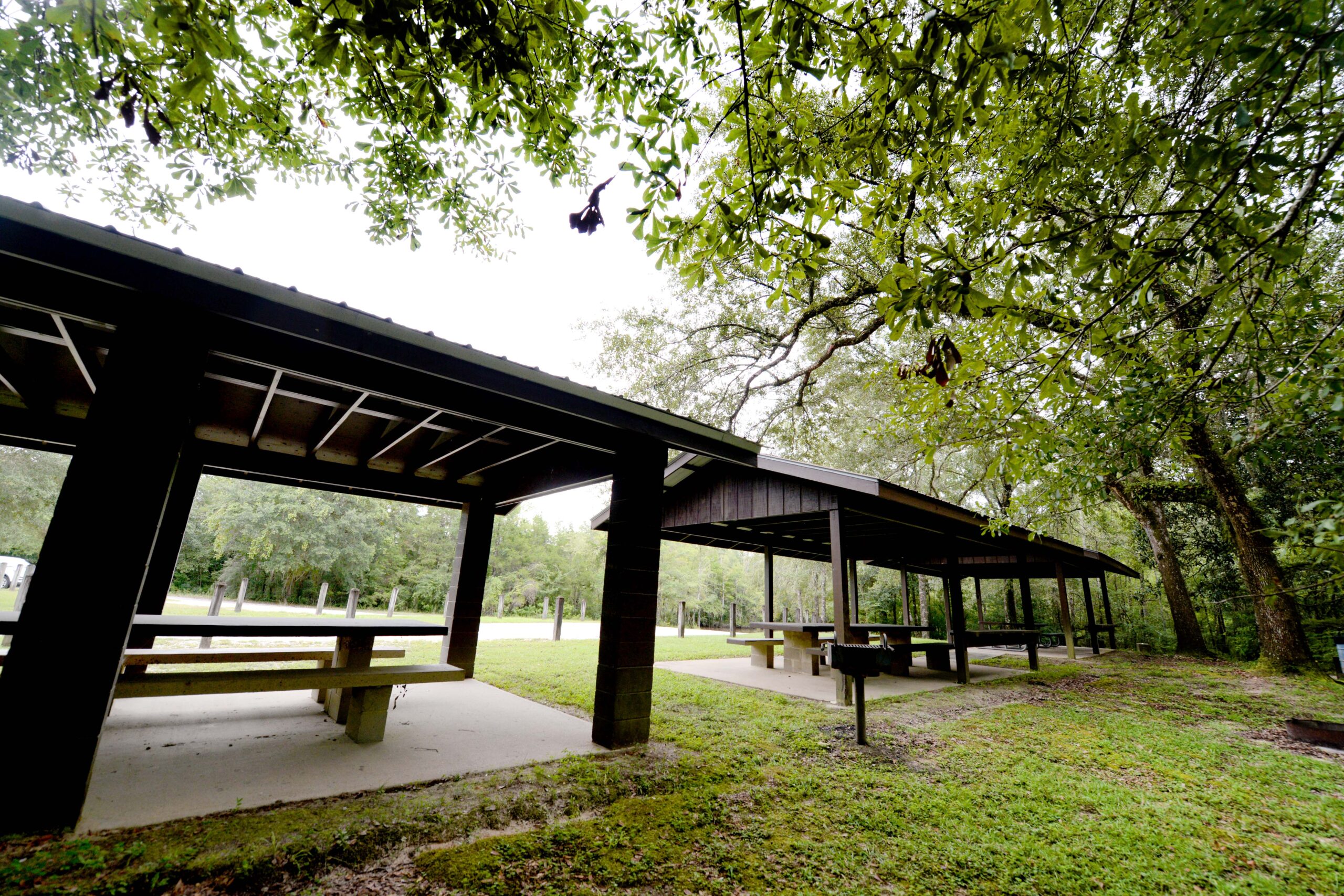 A park pavilion with picnic tables and a grill under a covered structure, surrounded by green grass and trees.