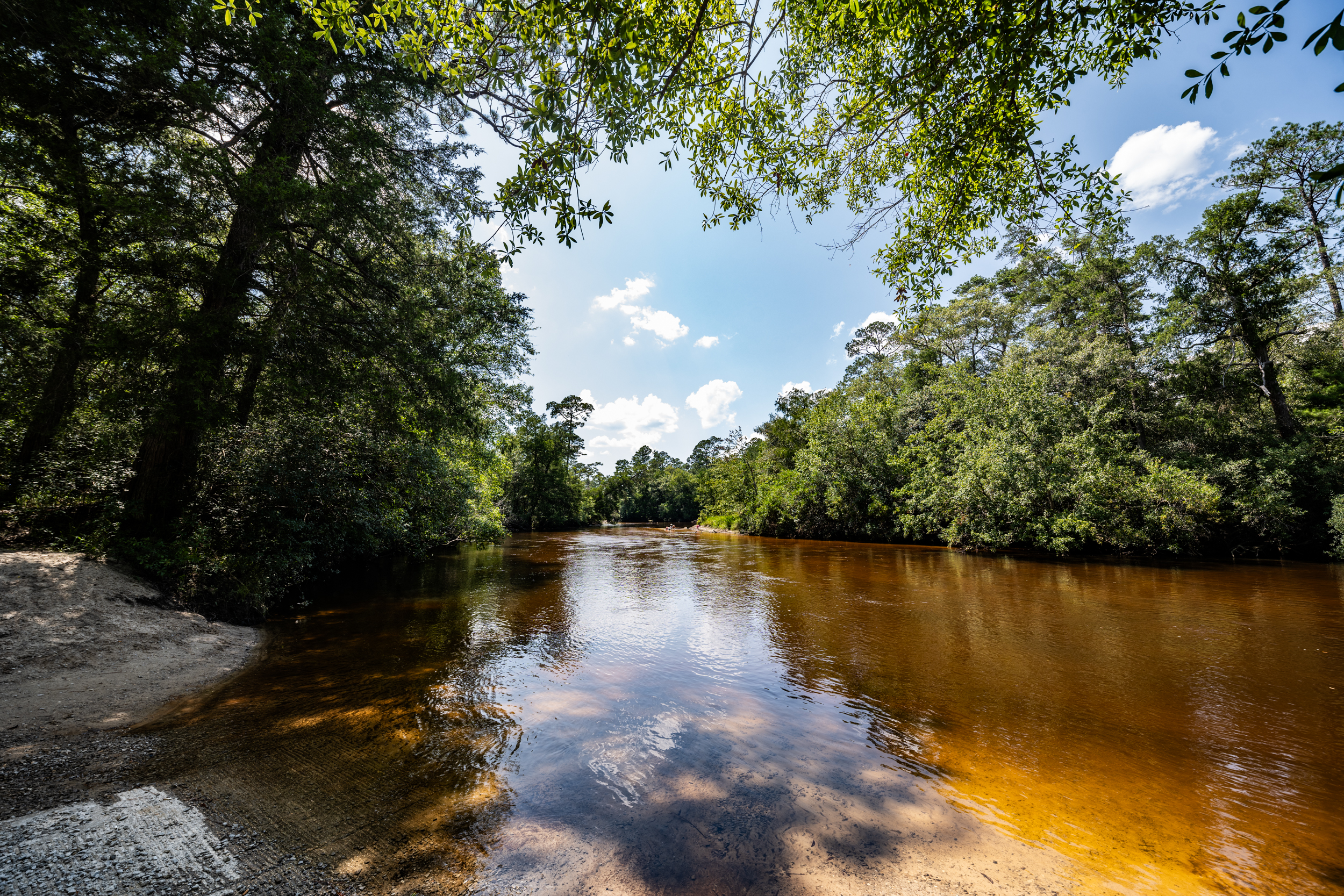 A tranquil river flows gently through a densely forested area under a bright blue sky with scattered clouds. The water is clear with a reddish tint, and the sun filters through the green foliage.