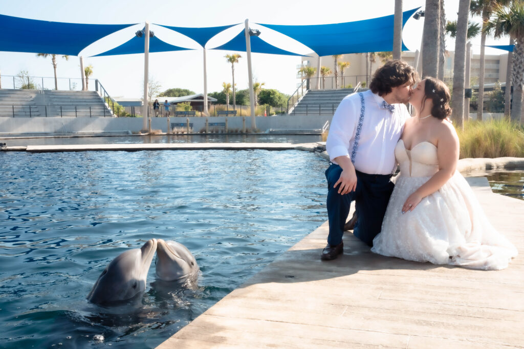A couple in wedding attire shares a kiss while kneeling by the edge of a pool with two dolphins in the water, in front of shaded seating areas.