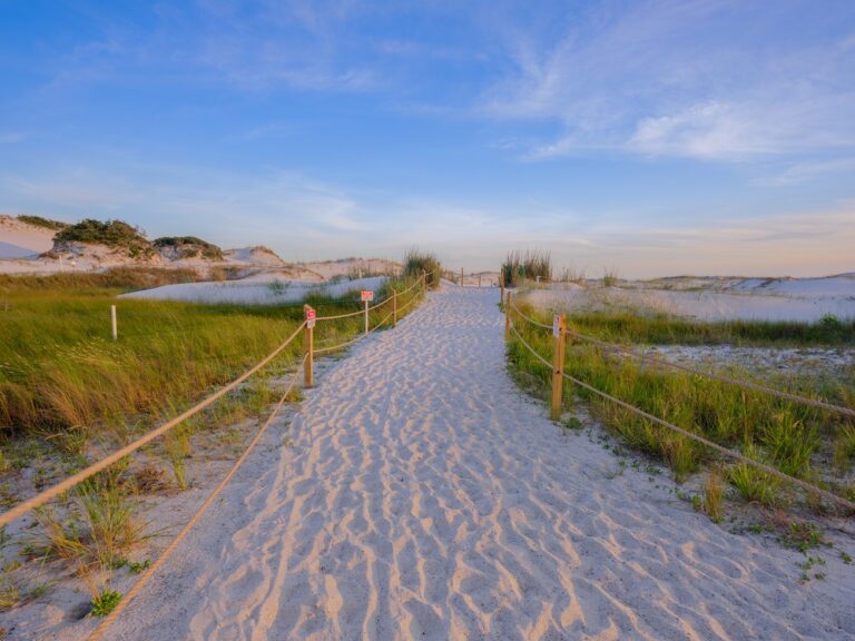 A sandy path leads through grassy dunes toward the beach under a blue sky.