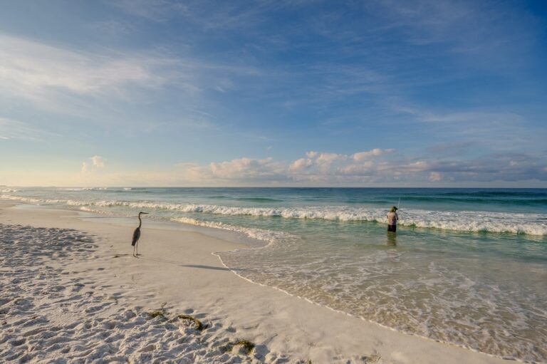 A person fishing in the ocean near the shoreline, with a heron standing on the sandy beach under a blue sky.