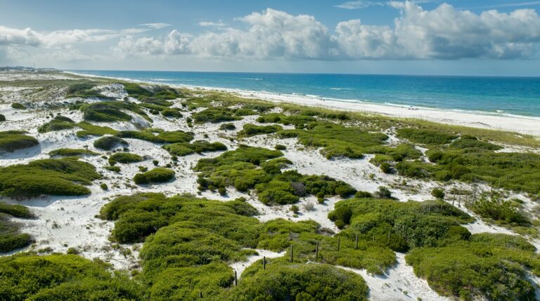 A picturesque beach with white sand dunes and green vegetation under a partly cloudy sky. The ocean is calm in the background.
