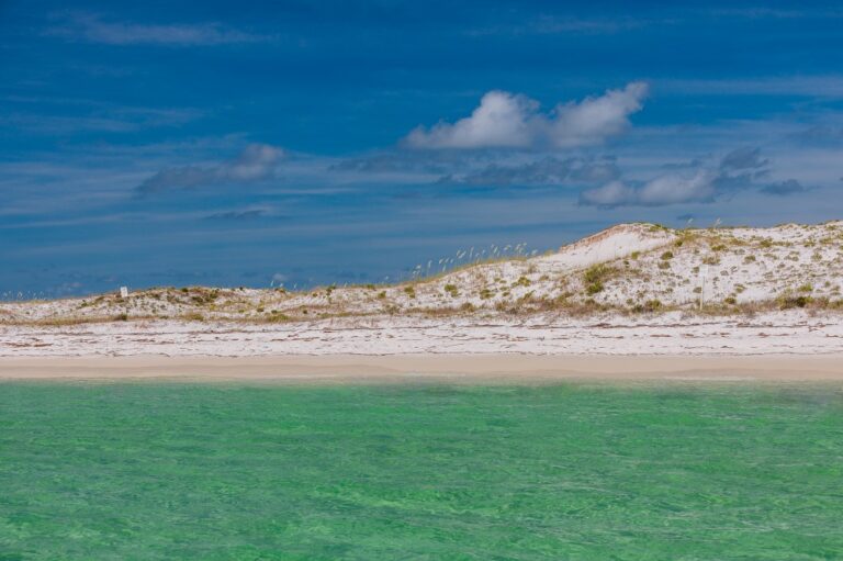 Sandy beach with grassy dunes, under a blue sky with clouds. Green-tinted ocean water is in the foreground.