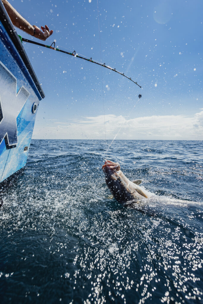 A fish is being reeled in by an angler on a boat. The fish splashes water in the sea under a clear blue sky.