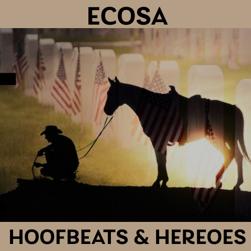 A silhouette of a person and a horse in front of gravestones with American flags. Text reads "ECOSA Hoofbeats & Heroes.