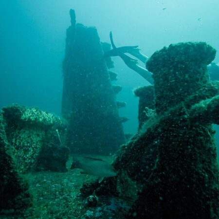 A scuba diver swims near an underwater shipwreck structure covered in algae and marine growth, with low visibility in blue-green water.
