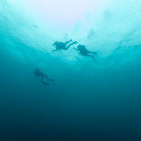 Three scuba divers are underwater, swimming near a guide line with sunlight filtering from above.
