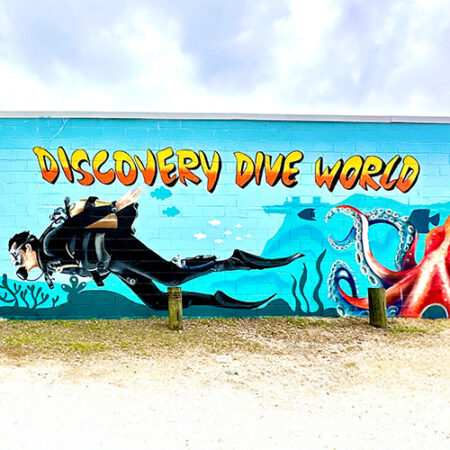 A mural on a light blue wall shows a scuba diver, fish, and an octopus, with the words "Discovery Dive World" in bold yellow and orange letters above the scene.