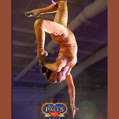 The Great Pages Circus