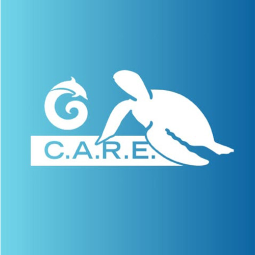 White silhouettes of a dolphin and a sea turtle above the text &ldquo;C.A.R.E.&rdquo; on a blue gradient background.