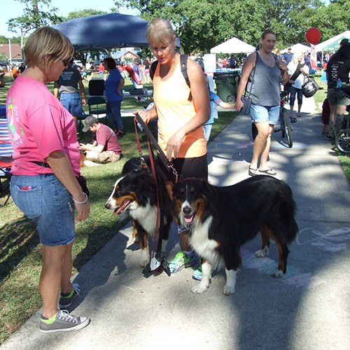 Two women stand on a sidewalk at an outdoor event with two large black and brown dogs on leashes. People, tents, and trees are visible in the background.