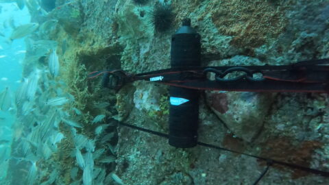 Underwater device attached to a rocky surface, surrounded by fish and marine life.
