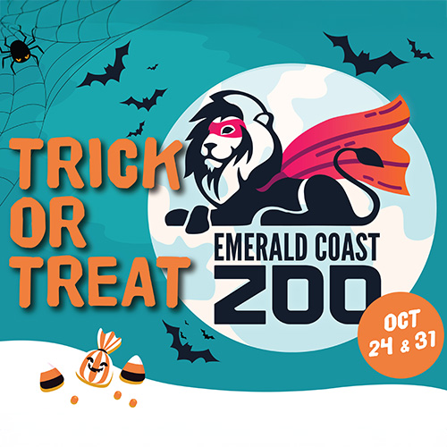 Illustration of a lion in a superhero cape with bats, candy, and spider web, promoting Emerald Coast Zoo&rsquo;s Trick or Treat event on October 24 and 31.