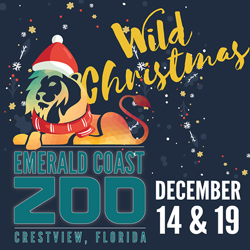 Wild Christmas event at the Emerald Coast Zoo in Crestview, Florida, featuring a lion wearing a Santa hat and scarf, occurring December 14 and 19.